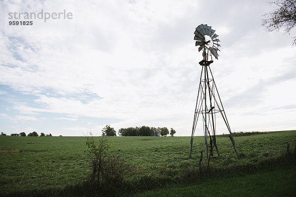Windmühle am Feldhang  Missouri  USA