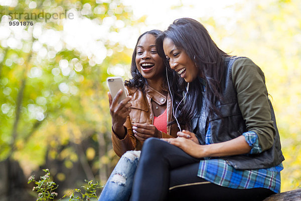 Junge Frauen nutzen Smartphone gemeinsam im Park