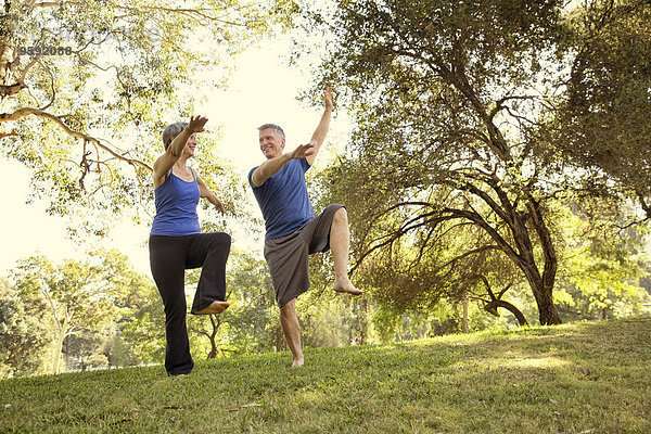 Reife Paare  die Yoga-Positionen im Park praktizieren