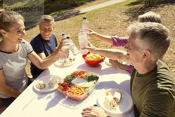 Vier erwachsene Freunde  die einen Toast mit Wasserflaschen im Park ausbringen.