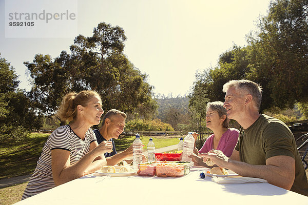 Vier erwachsene Freunde beim Picknick im Park