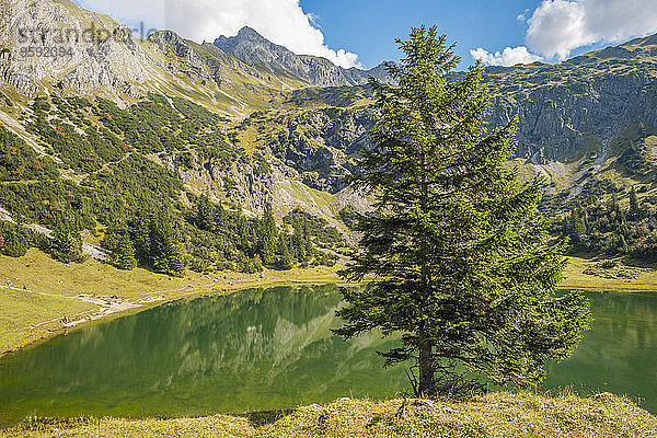 Deutschland  Bayern  Allgäu  Allgäuer Alpen  Unterer Gaisalpsee