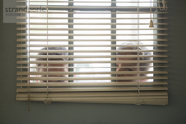 Zwei Jungen blicken durchs Fenster mit Jalousie