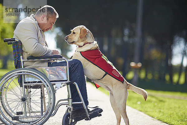 Mann im Rollstuhl mit Hund im Park