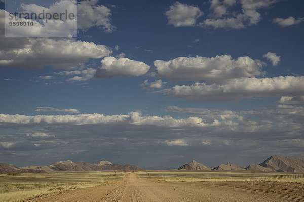 Leere Straße und entfernte Dünen  Deaddvlei  Sossusvlei Nationalpark  Namibia