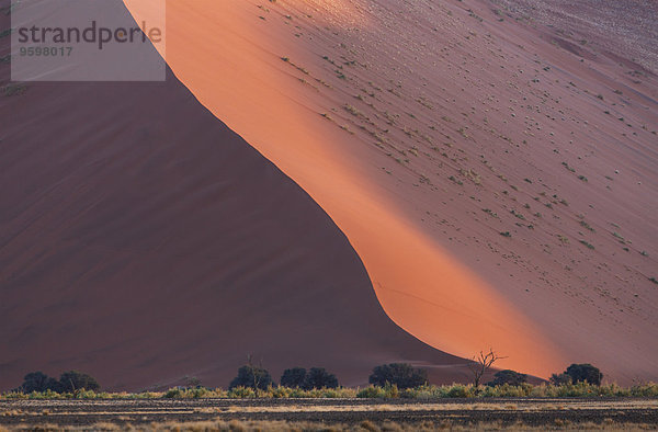 Riesige Sanddüne  Sossusvlei Nationalpark  Namibia