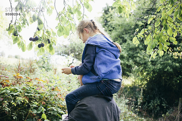 Vater trägt die Tochter auf den Schultern