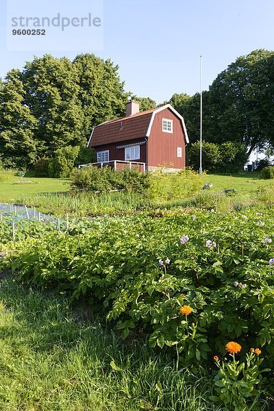 Schrebergarten