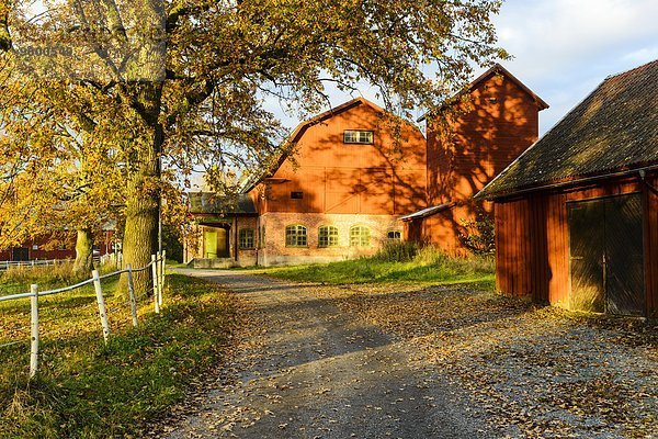 Gebäude Herbst Sonnenlicht