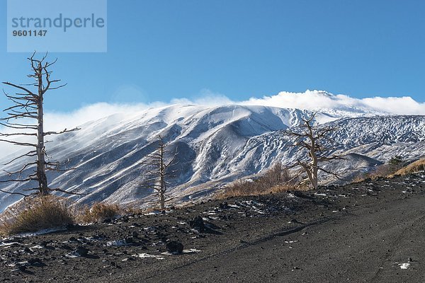 Snowcapped mountains