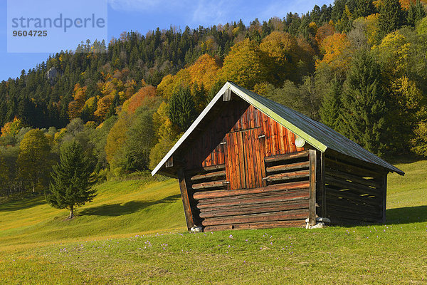 Scheune Herbst Heu Bayern Deutschland Oberbayern Werdenfelser Land