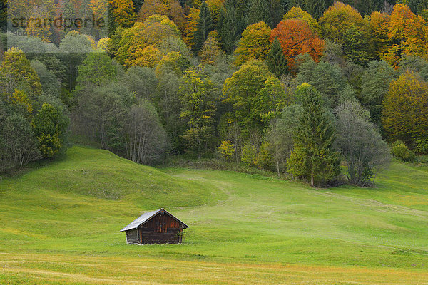nahe Scheune Herbst Heu Bayern Deutschland Oberbayern Werdenfelser Land