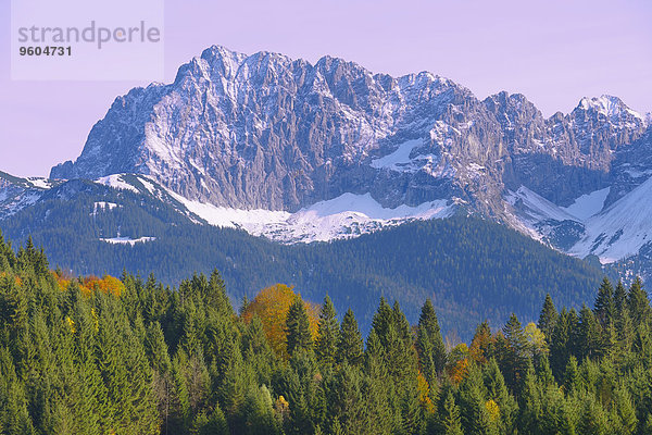 Berg Baum Herbst Karwendelgebirge Bayern Deutschland Oberbayern Werdenfelser Land