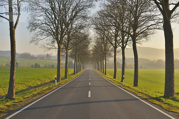 Morgen Fernverkehrsstraße Deutschland Niedersachsen