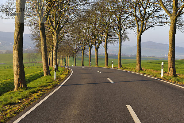 Morgen Fernverkehrsstraße Deutschland Niedersachsen