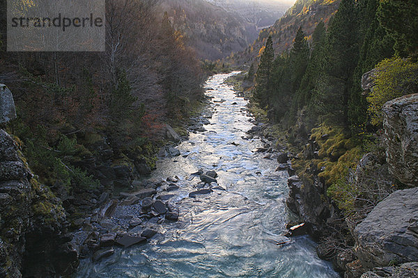 Spanien  Nationalpark Ordesa  Fluss Arazas