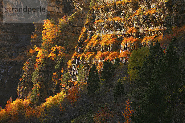 Spanien  Nationalpark Ordesa  Felswand