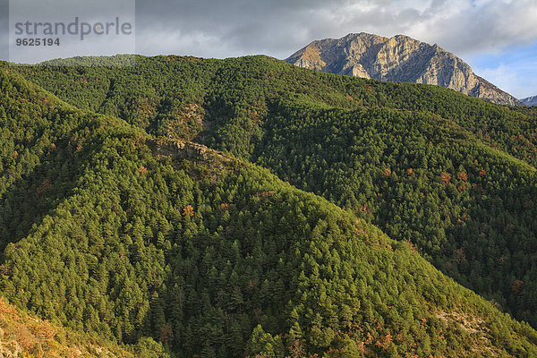 Spanien  Nationalpark Ordesa  Berglandschaft mit Wald