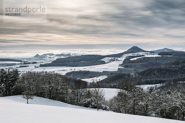 Deutschland  Baden-Württemberg  Landkreis Konstanz  Blick auf winterliche Hegau-Landschaft im Winter