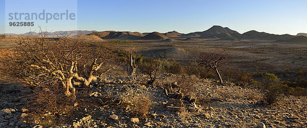 Namibia  Namibwüste  Kaokoland  Blick über das Hartmanngebirge