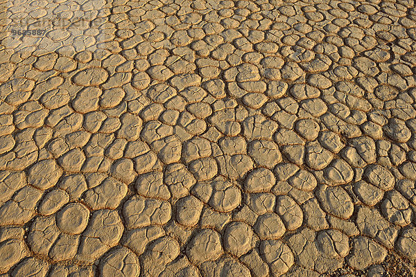 Afrika  Namibia  Sossusvlei  Dead Vlei  gebrochene Oberfläche einer Tonpfanne