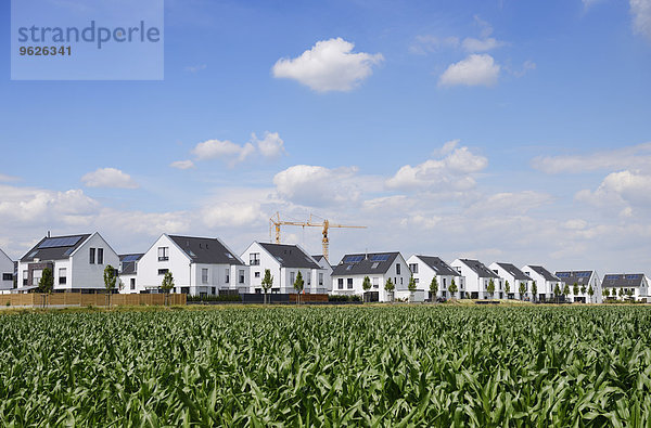 Deutschland  Düsseldorf  Neubaugebiet mit Ein- und Zweifamilienhäusern