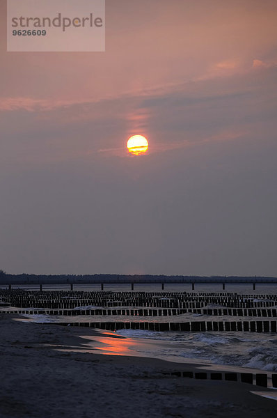 Deutschland  Mecklenburg-Vorpommern  Fischland-Darss-Zingst  Strand bei Sonnenuntergang