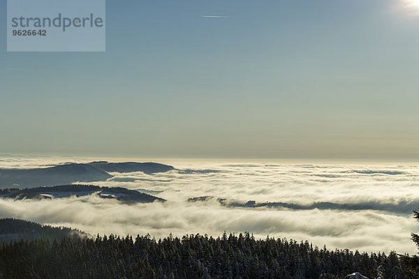 Deutschland  Baden-Württemberg  Schwarzwald  Blick über Wolken im Winter