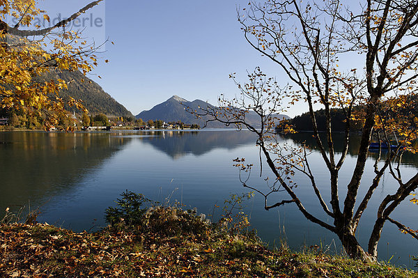 Deutschland  Bayern  Walchensee und Walchensee-Dorf mit Jochberg im Hintergrund