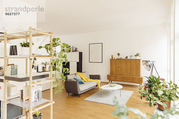 Wohnzimmer und Regal mit Pflanzen im modernen Haus