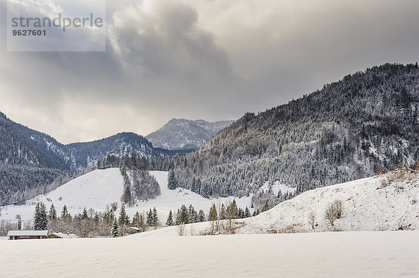 Deutschland  Bayern  Berchtesgadener Land  Winterlandschaft