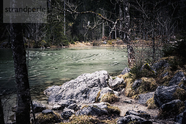 Deutschland  Bayern  Ramsau  Hintersee