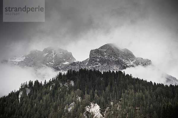 Deutschland  Bayern  Ramsau  Wald und Berge in Wolken