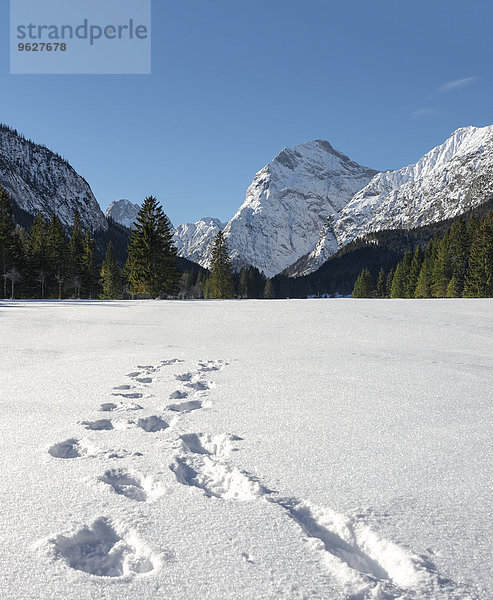 Österreich  Tirol  Pertisau  Spuren im Schnee