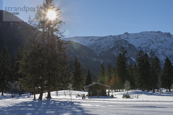 Österreich  Tirol  Pertisau  Hütte und Langlaufloipe