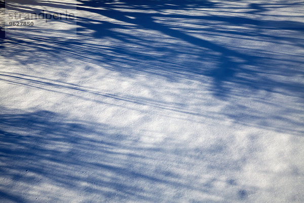 Schatten und Sonnenlicht im Schnee