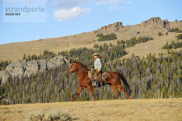 USA  Wyoming  Reiten Cowgirl