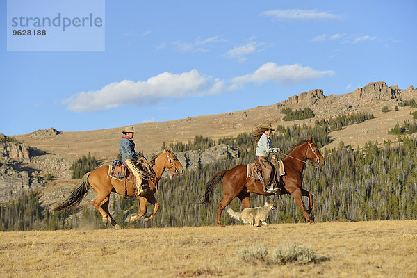 USA  Wyoming  zwei reitende Cowgirls und ihr laufender Hund