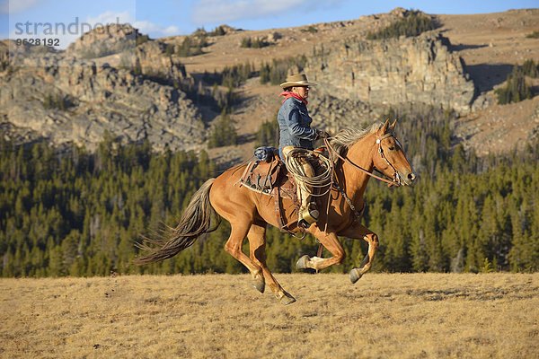 USA  Wyoming  Cowgirl-Reiten