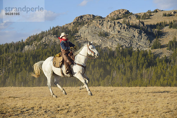 USA  Wyoming  junger Reit-Cowboy