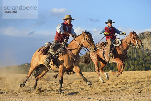 USA  Wyoming  zwei Reit-Cowboys