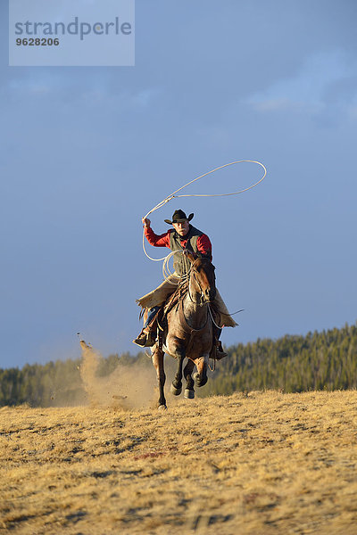 USA  Wyoming  Reiten Cowboy-Schwingen Lasso