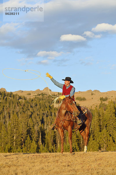 USA  Wyoming  Cowboy sitzt auf seinem Pferd und wirft das Lasso.