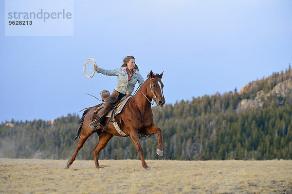 USA  Wyoming  Reiten Cowgirl mit Lasso