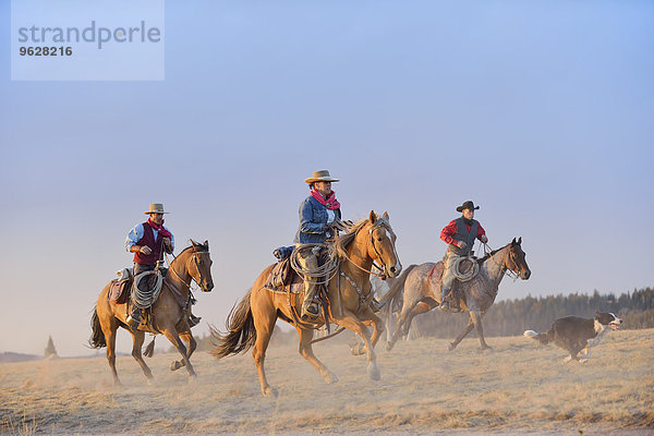 USA  Wyoming  drei reitende Cowboys und ein Hund
