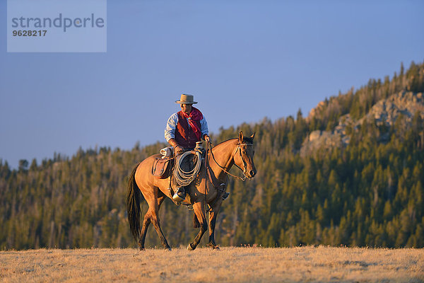 USA  Wyoming  Reiten Cowboy im Abendlicht