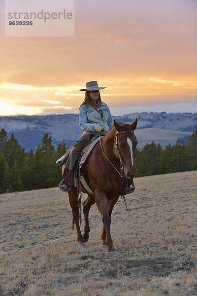 USA  Wyoming  Cowgirlreiten im Abendlicht
