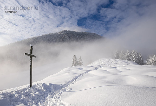 Deutschland  Bayern  Oberbayern  Mangfallgebirge  Hocheck bei Oberaudorf  Gipfelkreuz im Schnee