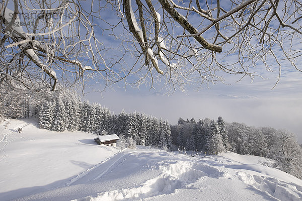 Deutschland  Bayern  Oberbayern  Mangfallgebirge  Hocheck bei Oberaudorf  Aussichtspunkt