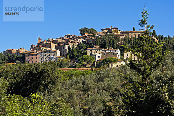 Italien  Toskana  Castagneto Carducci  Blick auf das Dorf